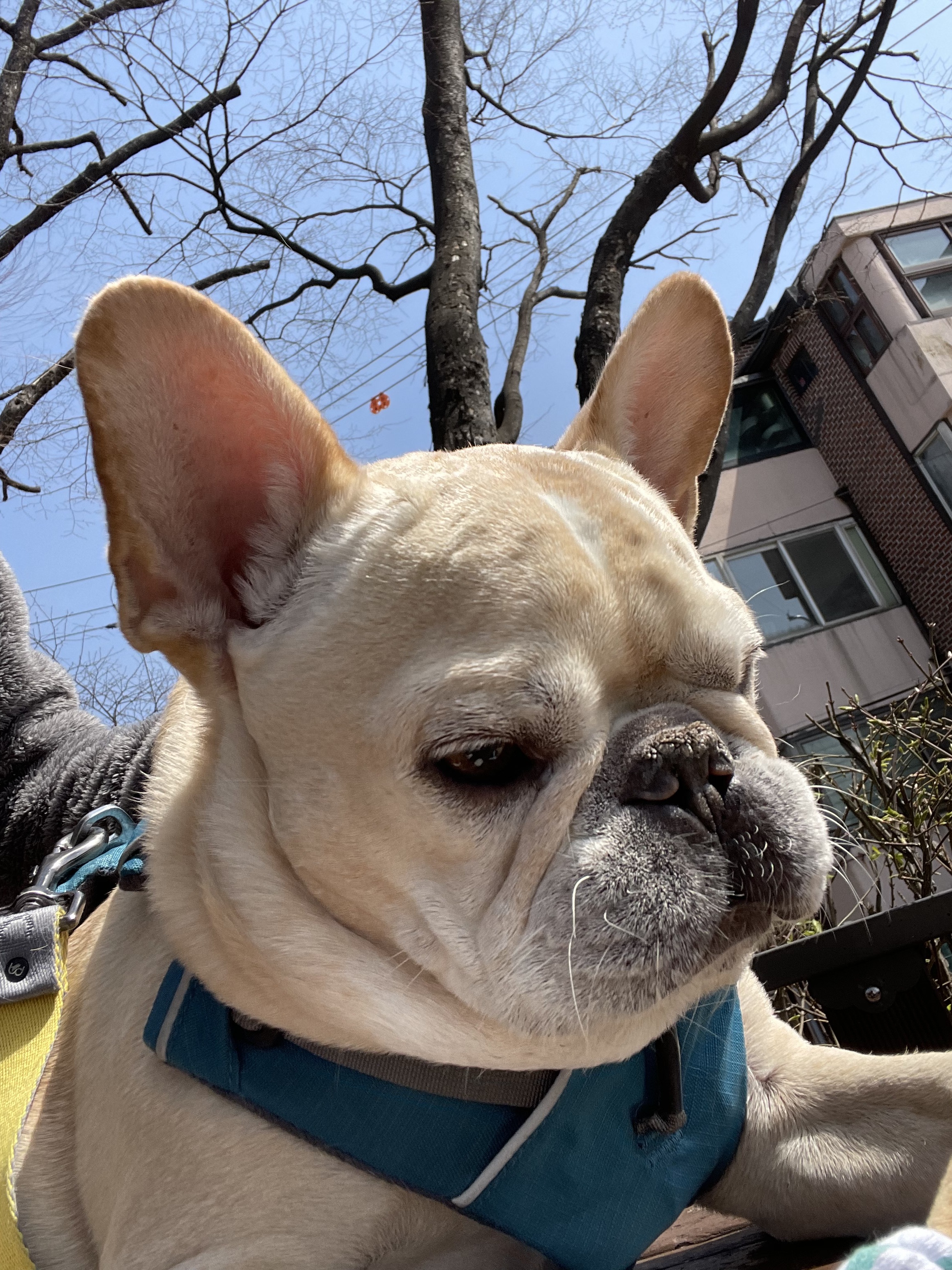 이태원코끼리라운지클럽 사진 3