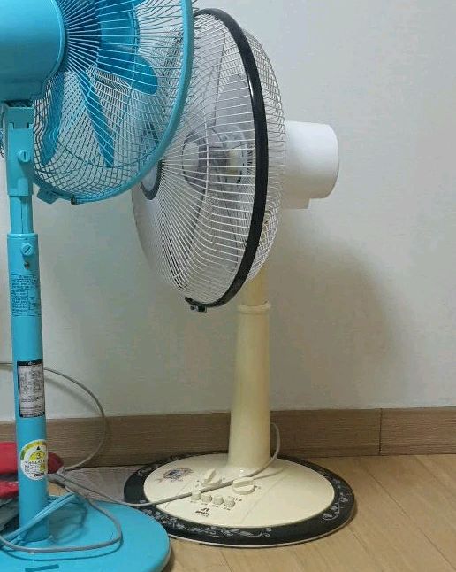 노원호박나이트 사진 4