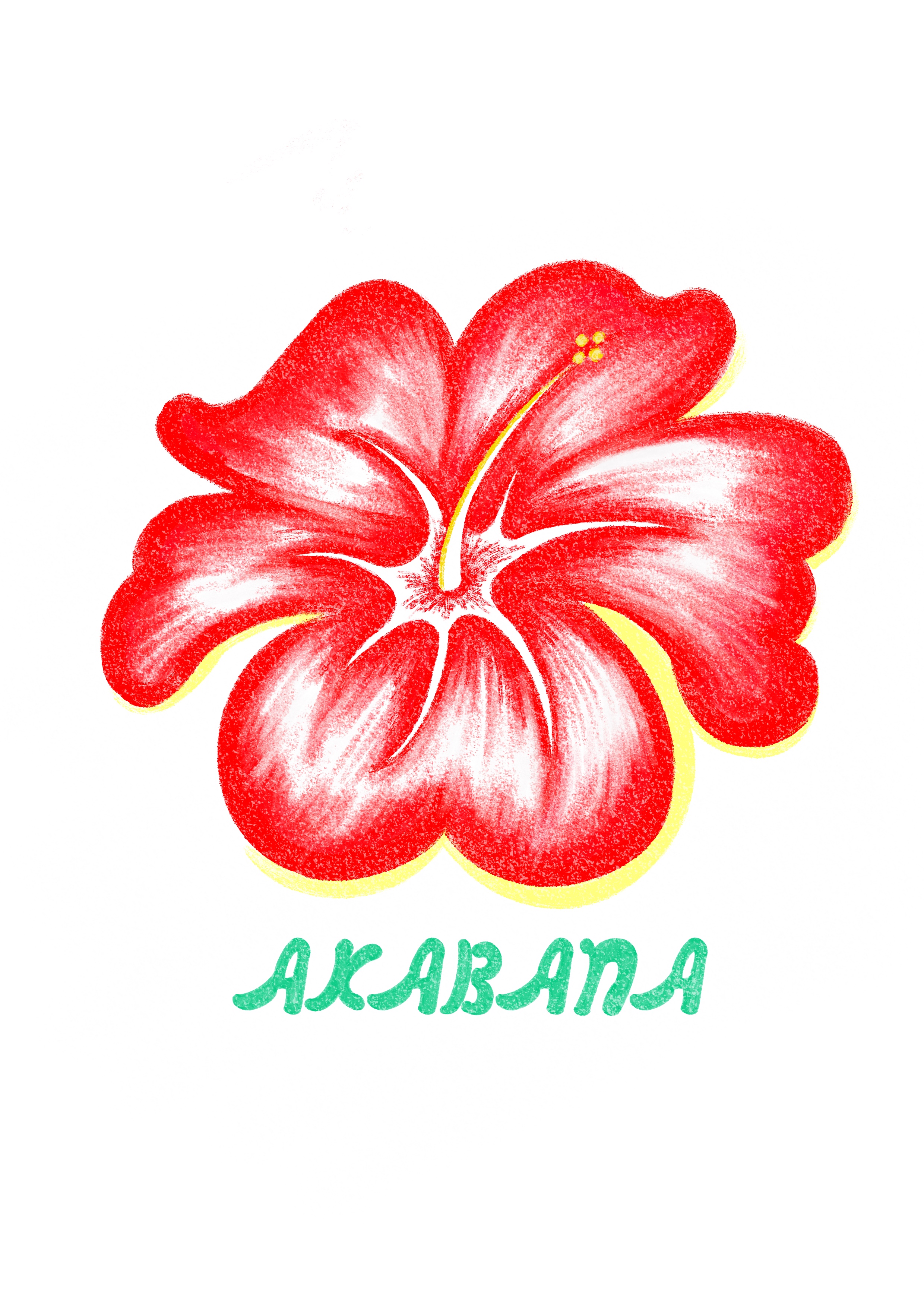 아카바나 사진 4