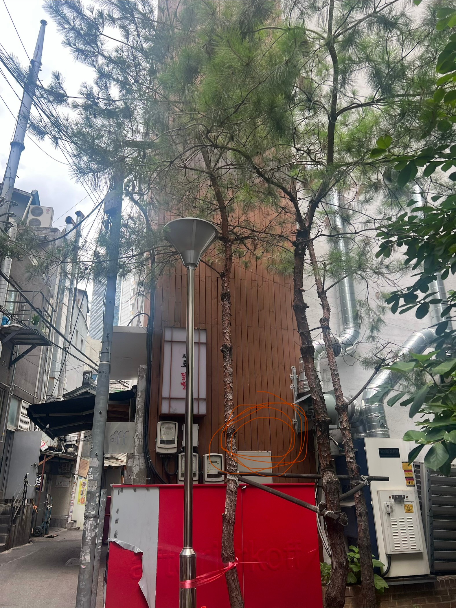 정원 사진 6