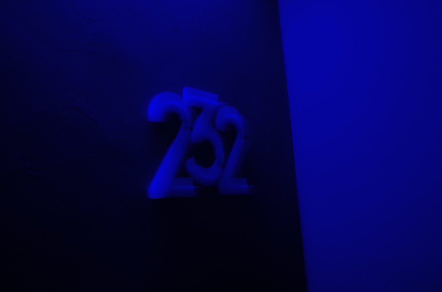 232 사진 3
